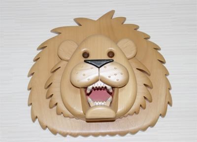 ライオンズ矯正歯科 画像